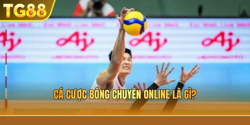 Cá cược bóng chuyền online là gì?