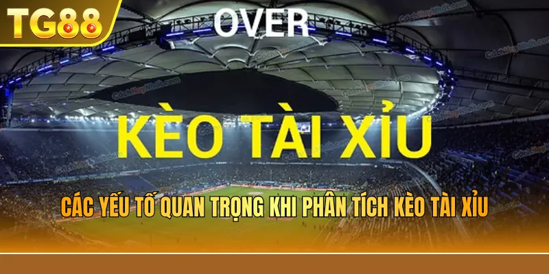 Phân tích kèo tài xỉu bóng đá chuẩn xác