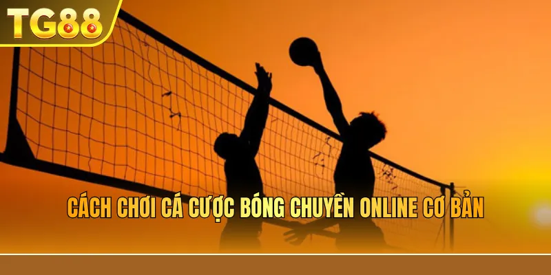 Cách chơi cá cược bóng chuyền online cơ bản