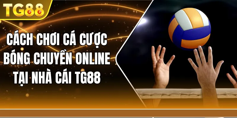 Cách chơi cá cược bóng chuyền online tại nhà cái TG88