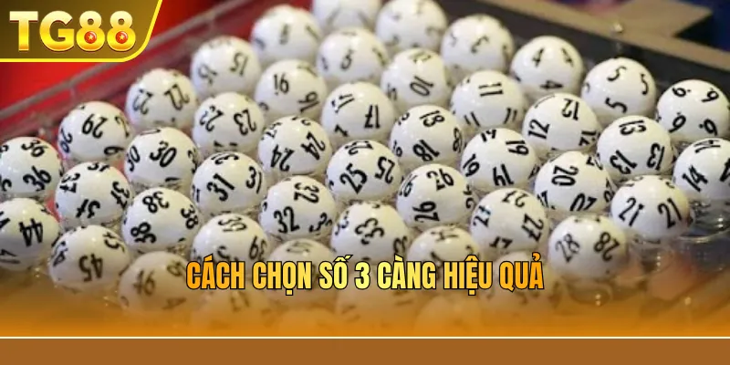 Cách chọn số 3 càng hiệu quả