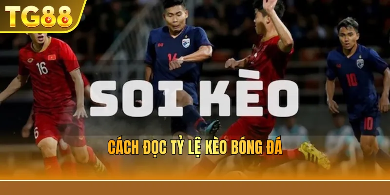 Cách đọc tỷ lệ kèo bóng đá
