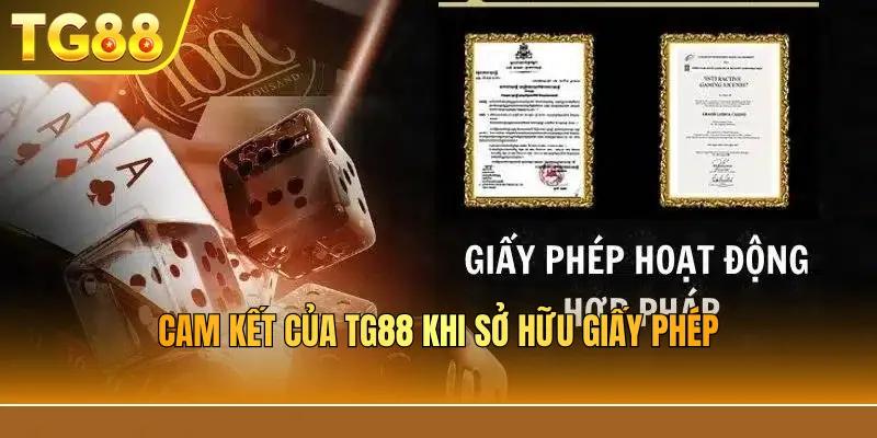 Cam kết của TG88 khi sở hữu giấy phép