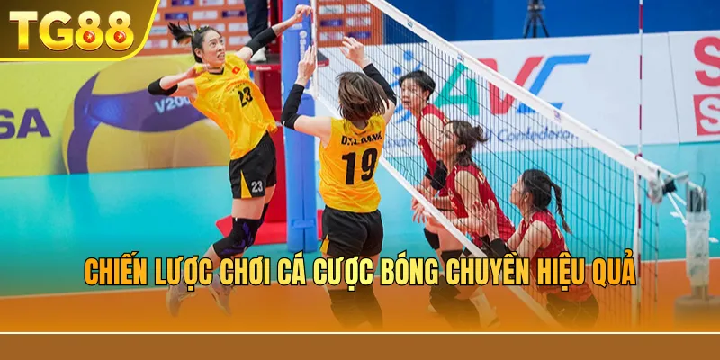 Chiến lược chơi cá cược bóng chuyền hiệu quả