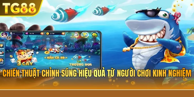 Chiến thuật chỉnh súng hiệu quả từ người chơi kinh nghiệm