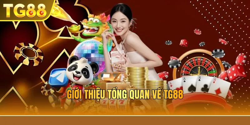 Giới thiệu tổng quan về TG88