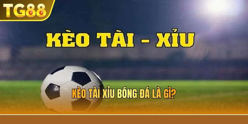 Mẹo bắt tài xỉu bóng đá hiệu quả cho người mới
