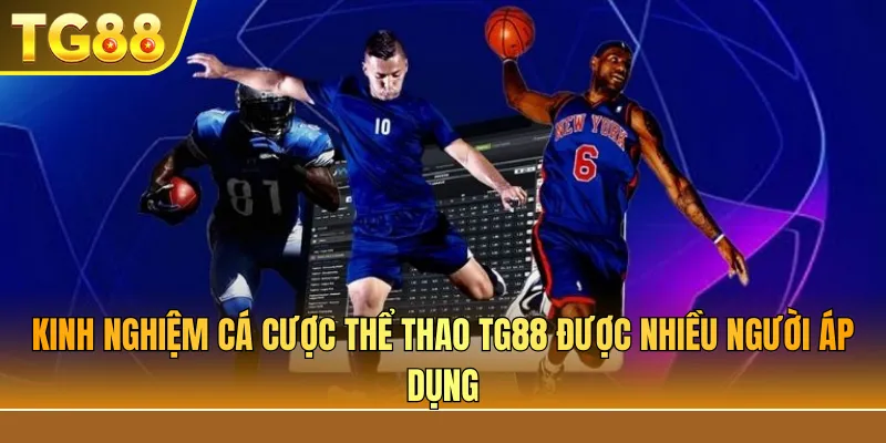 Kinh Nghiệm Cá Cược Thể Thao TG88 Được Nhiều Người Áp Dụng