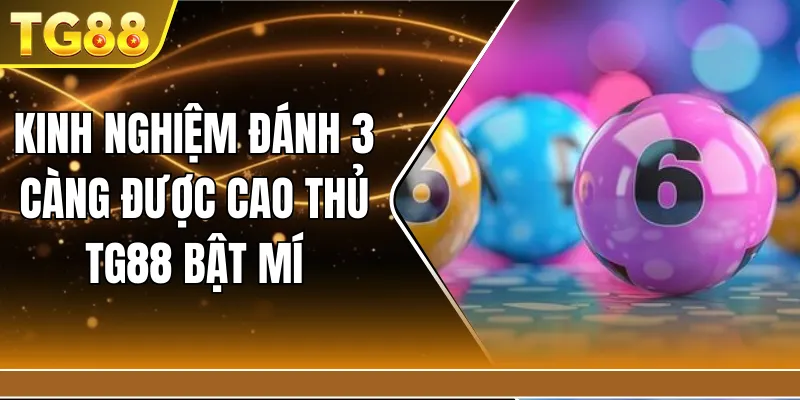 Kinh nghiệm đánh 3 càng được cao thủ TG88 bật mí