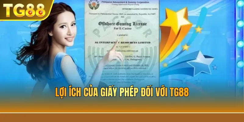 Lợi ích của giấy phép đối với TG88