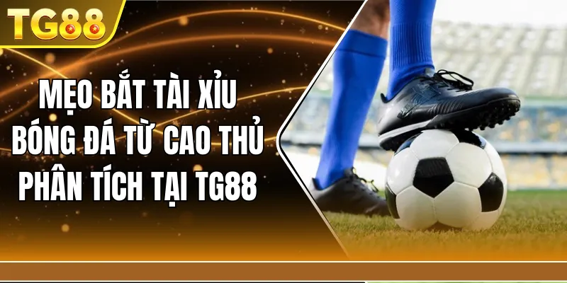 Mẹo bắt tài xỉu bóng đá từ cao thủ phân tích tại TG88