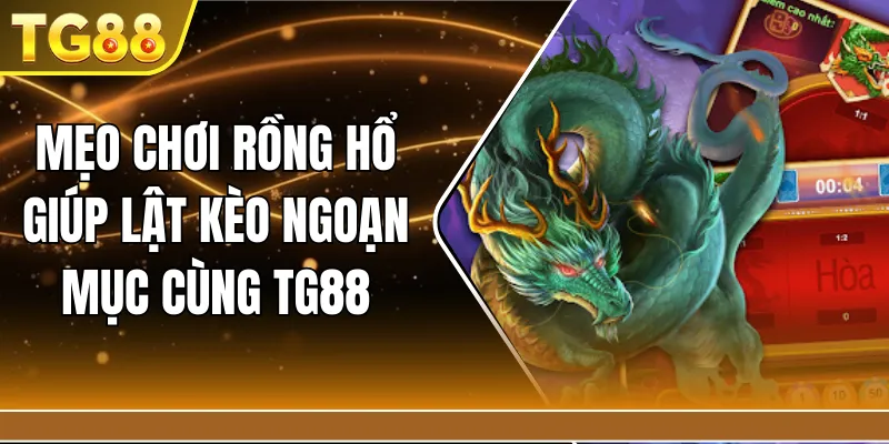 Mẹo chơi rồng hổ giúp lật kèo ngoạn mục cùng TG88