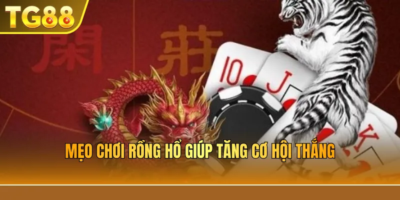 Mẹo chơi rồng hổ giúp tăng cơ hội thắng