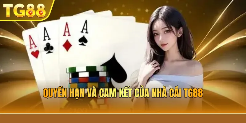 Quyền hạn và cam kết của nhà cái TG88
