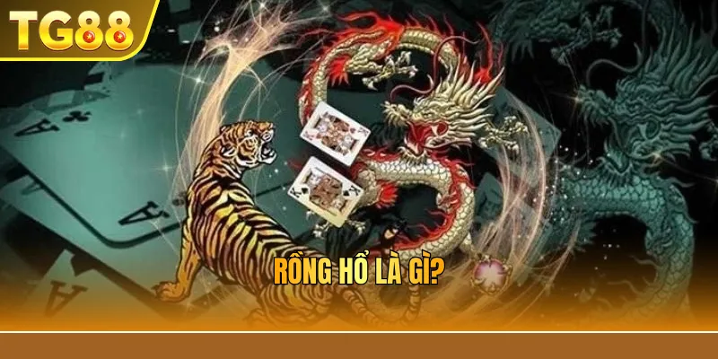 Rồng hổ là gì?
