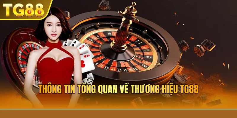 Thông Tin Tổng Quan Về Thương Hiệu TG88