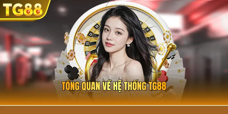 Tổng quan về hệ thống TG88